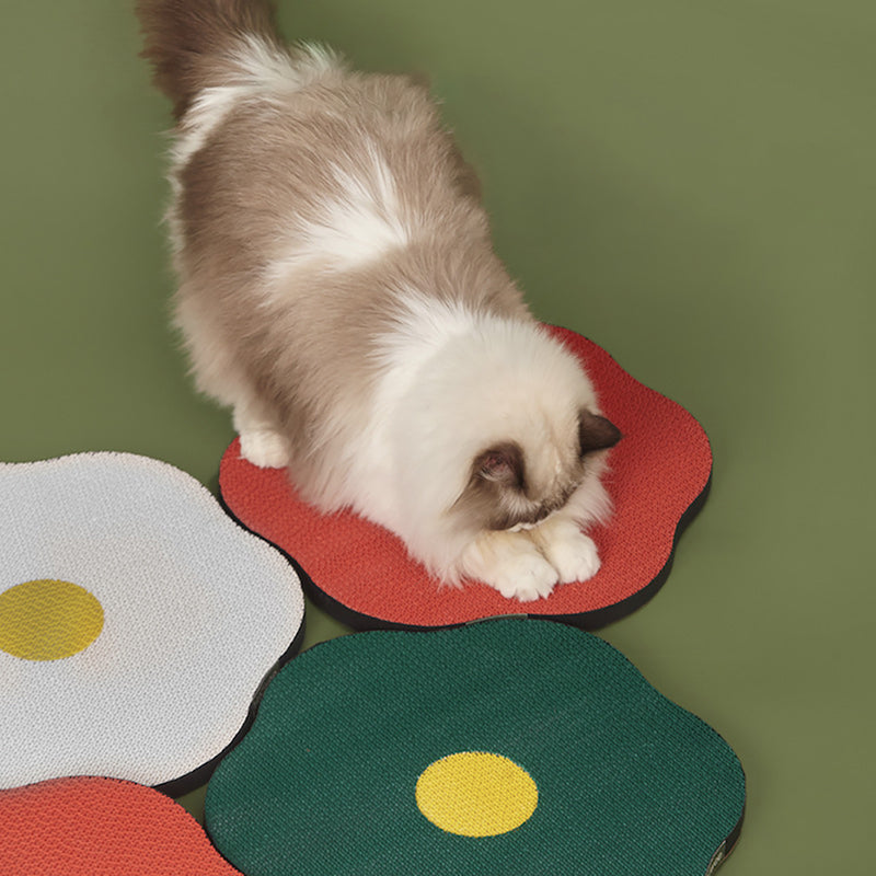 Cat Scratching Board - Decorative Flower Shaped